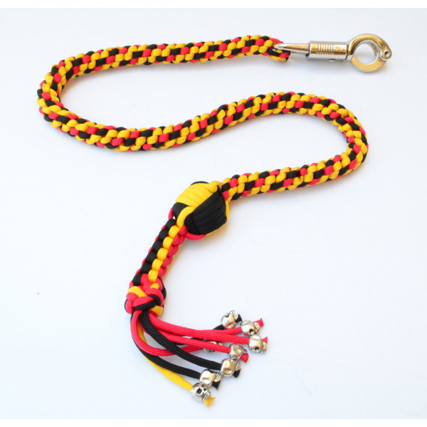 Back whip store for motorcycle